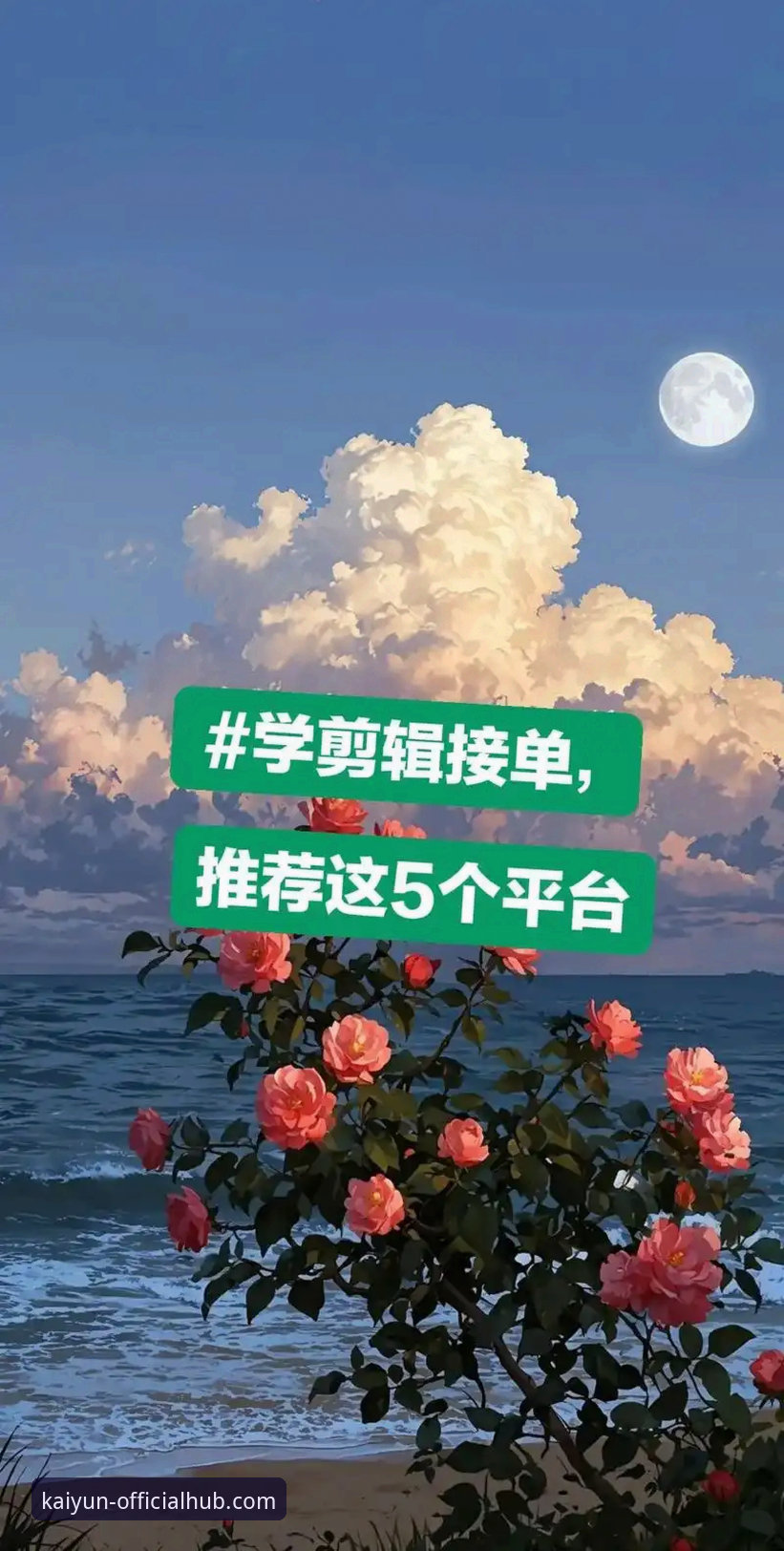 kaiyun官方平台首页必备：从新手到老手的实用技巧指南